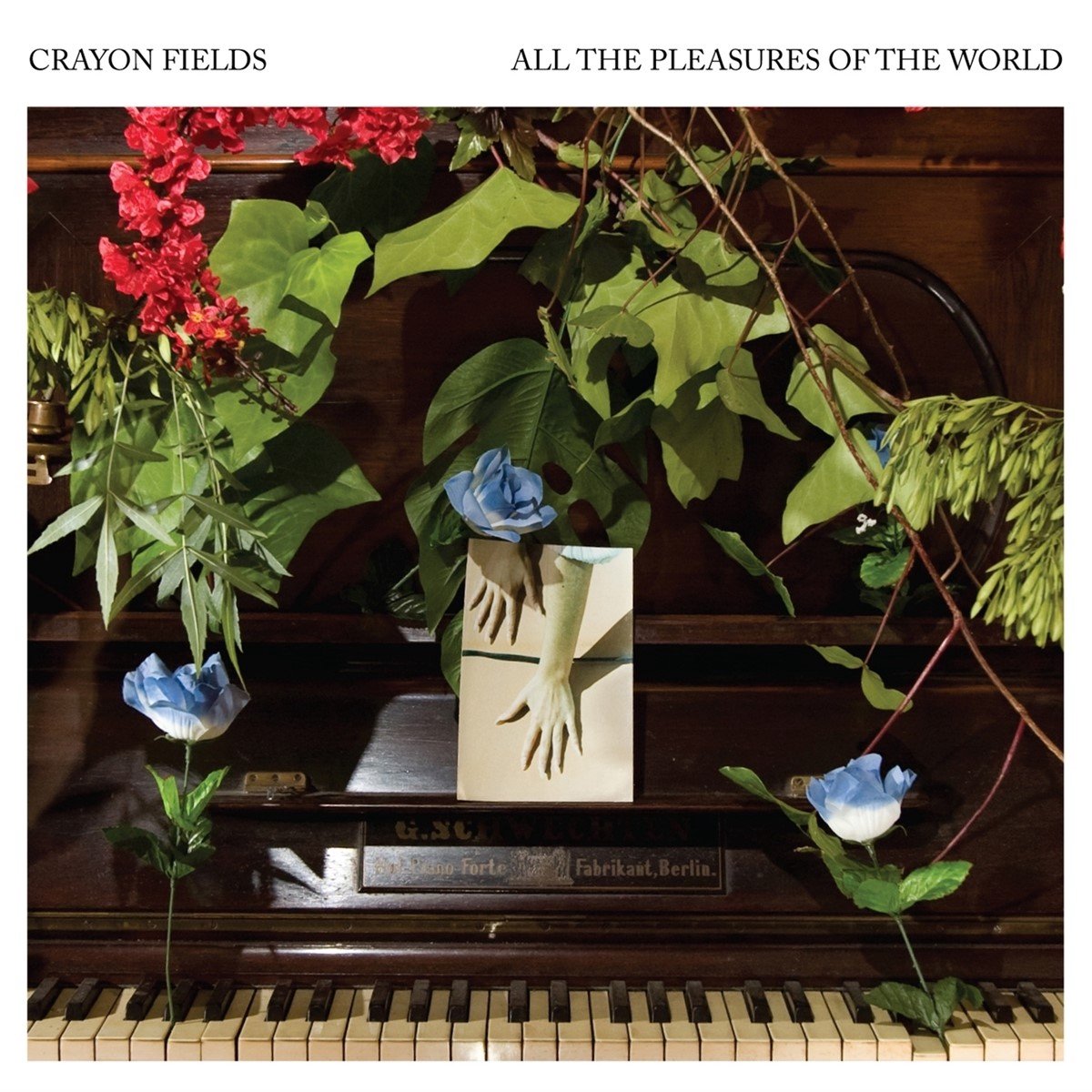 Crayon Fields - All The Pleasures Of The World (LP) (Coloured Vinyl) (Limited Edition)