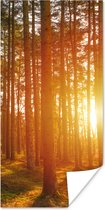 Poster Automne - Forêt - Soleil - 75x150 cm