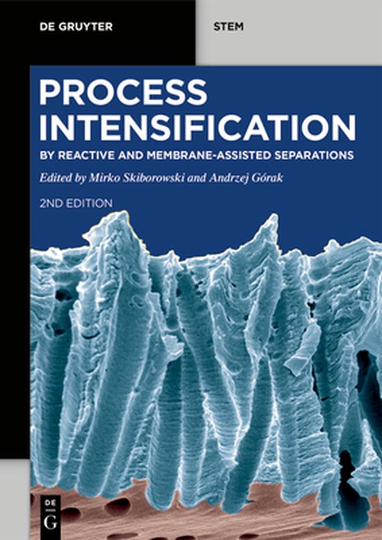 De Gruyter STEM- Process Intensification