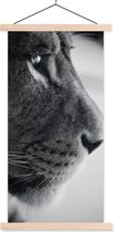 Porte-affiche avec affiche - Affiche scolaire - Profil d'animal lion en noir et blanc - 90x180 cm - Lattes vierges