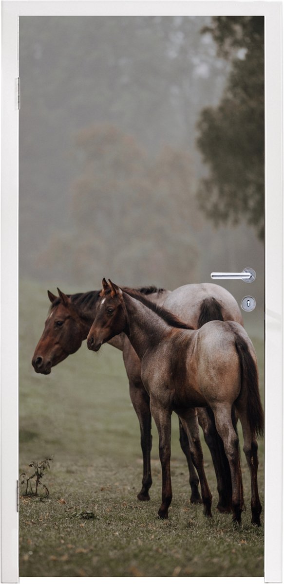 Afbeelding van product StickerSnake  Deursticker Paarden - Natuur - Mist - 95x215 cm - Deurposter