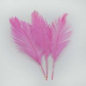 Struisvogelveer 30 cm roze (4+1 GRATIS)
