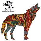 Piers Faccini - The Many Are One (LP)