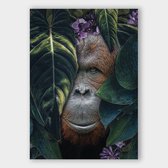 Poster Jungle Orangutan - Dibond - 120x180 cm - Meerdere Afmetingen & Prijzen | Wanddecoratie - Interieur - Art - Wonen - Schilderij - Kunst