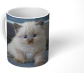 Mok - Koffiemok - Kitten - Kat - Dier - Mokken - 350 ML - Beker - Koffiemokken - Theemok