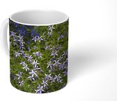 Mok - Grond bezaaid met bouvardia - 350 ML - Beker