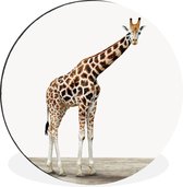 WallCircle - Wandcirkel - Muurcirkel - Giraffe - Dieren - Witte achtergrond - Kinderen - Jongen - Meisje - Aluminium - Dibond - ⌀ 60 cm - Binnen en Buiten