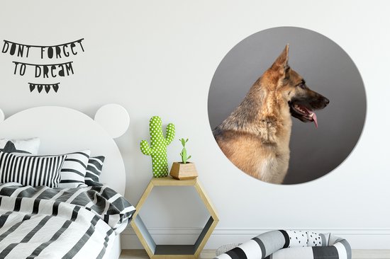 Vue latérale d'un chien de berger allemand Cercle mural aluminium ⌀ 120 cm - tirage photo sur cercle mural / cercle vivant / cercle jardin (décoration murale) XXL / Groot format!