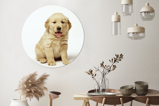 Portrait photo d'un chiot Golden Retriever moelleux Cercle mural aluminium ⌀ 140 cm