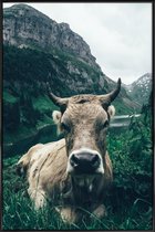 JUNIQE - Poster met kunststof lijst A Natural Habitat -20x30 /Bruin &