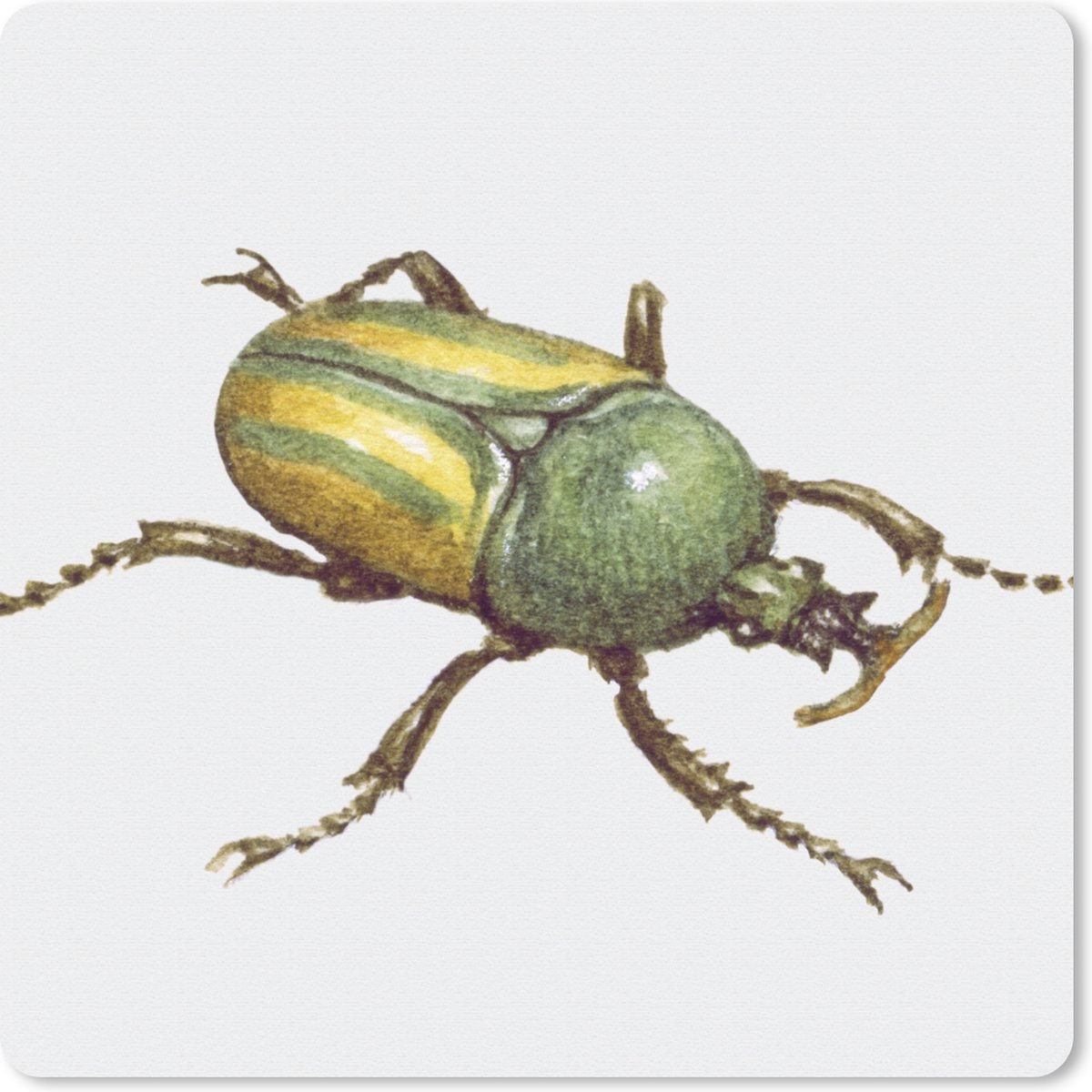 Muismat 20x20 cm - Mousepad Kever - Insecten - Waterverf - Muismatten