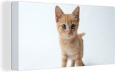 Canvas Schilderij Kat - Rood - Kitten - Meisjes - Kinderen - Jongens - Kindje - 40x20 cm - Wanddecoratie