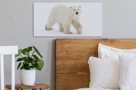 Tableau sur toile Ours Polaire - Neige - Wit - 40x20 cm - Décoration murale