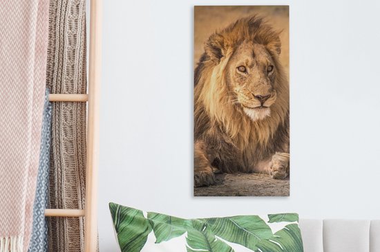 Toile Peinture Lion - Gros Plan - Savane - 20x40 cm - Décoration murale