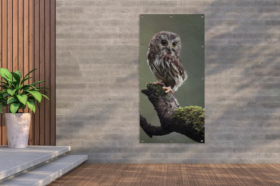 Décoration murale extérieur Gros plan de hibou - 80x160 cm