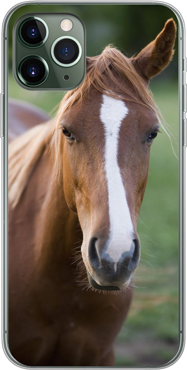 Telefoonhoesje Geschikt voor iPhone 11 Pro hoesje - Paard - Natuur - Portret - Siliconen Telefoonhoesje Telefoonhoesje