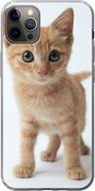 Geschikt voor iPhone 12 Pro Max hoesje - Kat - Rood - Kitten - Meisjes - Kinderen - Jongens - Kindje - Siliconen Telefoonhoesje