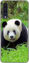 Geschikt voor Samsung Galaxy A30s hoesje - Panda - Gras - Dier - Siliconen Telefoonhoesje