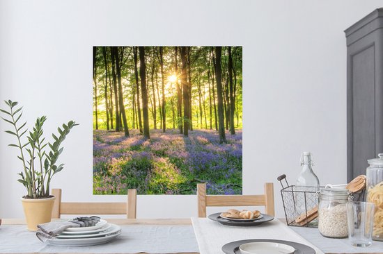 Stickers Stickers muraux - Printemps - Forêt - Soleil - 100x100 cm - Film Adhésif XXL