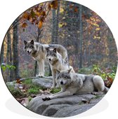 WallCircle - Wandcirkel - Muurcirkel - Wolven - Rots - Bos - Aluminium - Dibond - ⌀ 90 cm - Binnen en Buiten