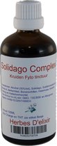 Solidago tinctuur - 100 ml - Herbes D'elixir