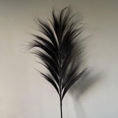 Natural Collections - Natuurlijke gras pluimen 'Wild Leaf'  - zwart - 118 cm hoog - 2 stuks