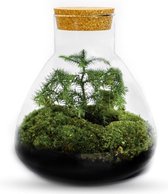 Erlenmeyer- Kerstboom - ↑26cm / ø22cm