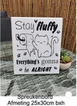 Houten Tekstbord Spreukenbord Stay Fluffy Gein Poes Kat Quotes Wc Toilet Funny Toiletregels Muurdecoratie Quotebord Cadeau Geschenk Verjaardag Handgemaakt Kleur Wit