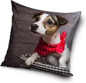 Hond met een Rode Sjaal Sierkussens - Kussen - 40 x 40 inclusief vulling - Kussen van Polyester - KledingDroom®