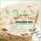 Sphagnum (spagnum 150 g) mos voor stekjes, amfibieën en terrariums