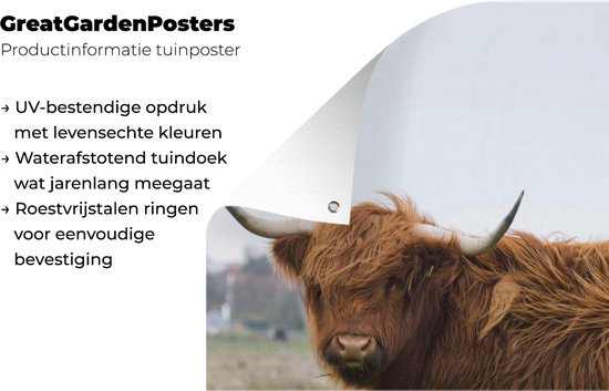 Affiche de clôture Scottish Highlander - Vache - Herbe - 100x200 cm - Toile de jardin