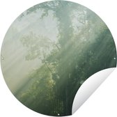Tuincirkel Zonnestralen bij een groen bos in Maleisië - 60x60 cm - Ronde Tuinposter - Buiten