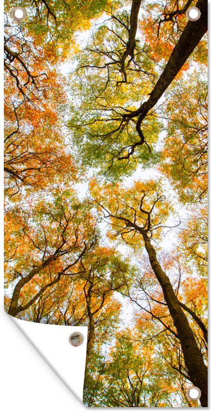Affiche de jardin Automne - Ciel - Arbre - 30x60 cm - Toile jardin - Affiche extérieure