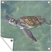 Tuinposters Schildpad zwemt in het water - 50x50 cm - Tuindoek - Buitenposter