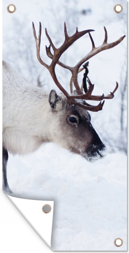 Schuttingposter Een kerstfoto van rendieren langs de wegen van het Finse Kilpisjarvi - 100x200 cm - Tuindoek