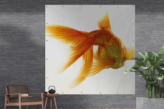 Poster Jardin Poisson rouge - Animaux aquatiques marins - Wit - 200x200 cm - Toile jardin - Poster extérieur