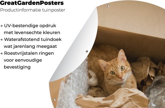 Garden Circle Cat - Boîte - Rouge - 90x90 cm - Affiche de Jardin Ronde - Extérieur