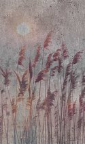 Fotobehang - Reed Abstract 150x250cm - Vliesbehang
