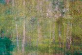 Fotobehang - Leaves Abstract 375x250cm - Vliesbehang