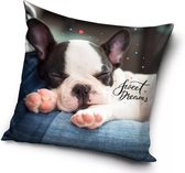 Hond, Sweet Dreams Sierkussens - Kussen - 40 x 40 inclusief vulling - Kussen van Polyester - KledingDroom®