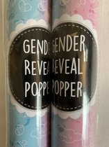 Gender Reveal Girl Partypopper  2 Stuks Its a Girl Roze