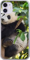 Geschikt voor iPhone 11 hoesje - Panda - Dier - Boom - Siliconen Telefoonhoesje