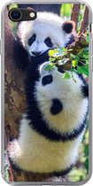 Geschikt voor iPhone SE 2020 hoesje - Panda's - Boom - Natuur - Siliconen Telefoonhoesje