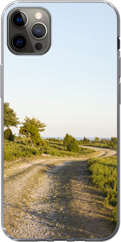 iPhone 12 Pro Max hoesje - Zomer - Weg - Zee - Siliconen Telefoonhoesje |  bol.com