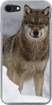 Geschikt voor iPhone 8 hoesje - Wolf - Sneeuw - Dieren - Siliconen Telefoonhoesje