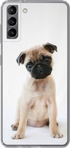Geschikt voor Samsung Galaxy S21 Plus hoesje - Hond - Huisdieren - Portret - Siliconen Telefoonhoesje