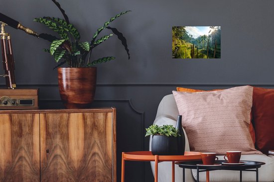 Stickers muraux - Sticker Feuille - Rizière en Indonésie - 30x20 cm - Feuille Adhésive - Stickers muraux Chambre d'Enfant - Papier Peint Auto-Adhésif