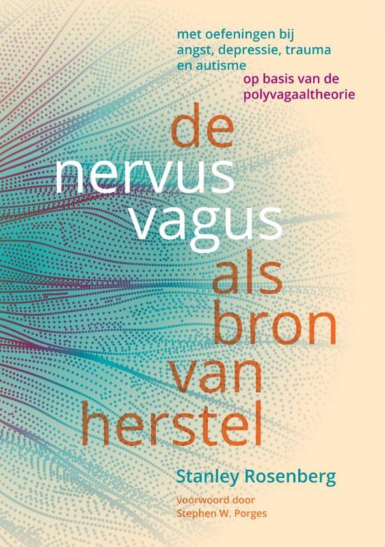 Boek cover De nervus vagus als bron van herstel van Stanley Rosenberg (Paperback)