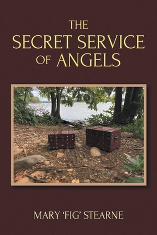 The Secret Service of Angels - cover