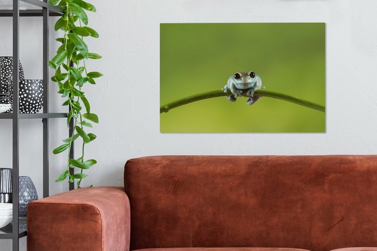 Tableau Grenouille - Branche - Vert - 60x40 cm - Décoration murale